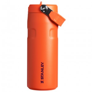 Stanley The IceFlow™ Bottle with Flip Straw Lid | 16 oz Tigerlily Plum | ENH820354
