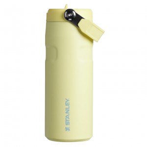 Stanley The IceFlow™ Bottle with Flip Straw Lid | 16 oz Pomelo | YVJ710962