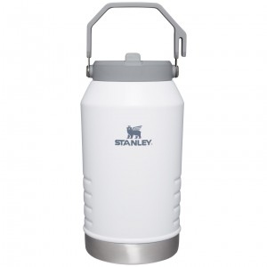 Stanley The IceFlow Flip Straw Jug | 96 OZ | Insulated Water Jug Polar | PNX234560