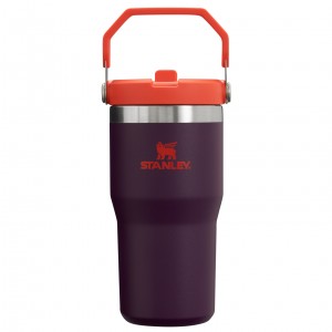 Stanley The IceFlow Flip Straw Tumbler | 20 OZ | Insulated Water Bottle Plum | HVU396125