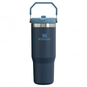 Stanley The IceFlow Flip Straw Tumbler | 30 OZ | Insulated Water Navy | NXW350746