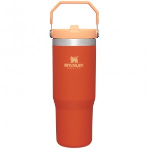 Stanley The IceFlow Flip Straw Tumbler | 30 OZ | Insulated Water Tigerlily | LVW892743