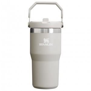 Stanley The IceFlow Flip Straw Tumbler | 20 OZ | Insulated Water Bottle Ash | GXN658412