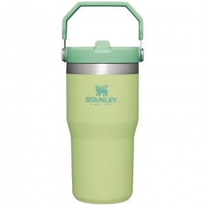 Stanley The IceFlow Flip Straw Tumbler | 20 OZ | Insulated Water Bottle Citron | PGA267301