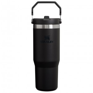 Stanley The IceFlow Flip Straw Tumbler | 30 OZ | Insulated Water Black 2.0 | PBL854091