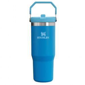 Stanley The IceFlow Flip Straw Tumbler | 30 OZ | Insulated Water Azure | DOH627153