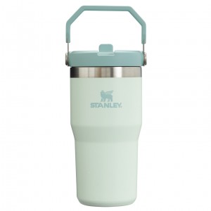 Stanley The IceFlow Flip Straw Tumbler | 20 OZ | Insulated Water Bottle Mist | XLO091732