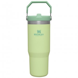 Stanley The IceFlow Flip Straw Tumbler | 30 OZ | Insulated Water Citron | AHM286534