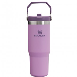 Stanley The IceFlow Flip Straw Tumbler | 30 OZ | Insulated Water Lilac | XUY283075