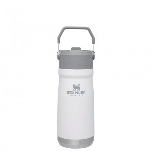 Stanley The IceFlow Flip Straw Water Bottle | 17 OZ | Insulated Bottle | Stanl Polar | CLW074812
