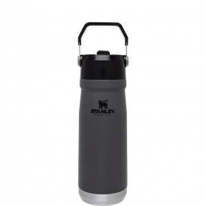 Stanley The IceFlow Flip Straw Water Bottle | 22 OZ | Insulated Bottle | Stanl Charcoal | TDR719236