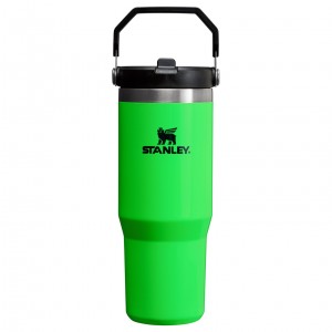 Stanley The Neon IceFlow™ Flip Straw Tumbler | 30 OZ - Stanley Create Neon Green | BYX815397
