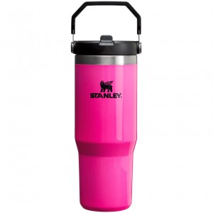 Stanley The Neon IceFlow™ Flip Straw Tumbler | 30 OZ - Stanley Create Electric Pink | AGP063527