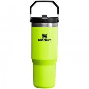 Stanley The Neon IceFlow™ Flip Straw Tumbler | 30 OZ Neon Yellow | AZC158937