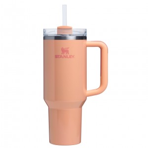 Stanley The Quencher H2.0 FlowState™ Tumbler | 40 OZ Bellini Shimmer | GVR625134