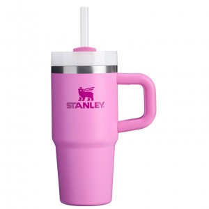 Stanley The Quencher H2.O FlowState™ Tumbler with Handle & Straw | 14 OZ Peony | PCK582703