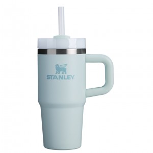 Stanley The Quencher H2.O FlowState™ Tumbler with Handle & Straw | 14 OZ Mist | PSA389016
